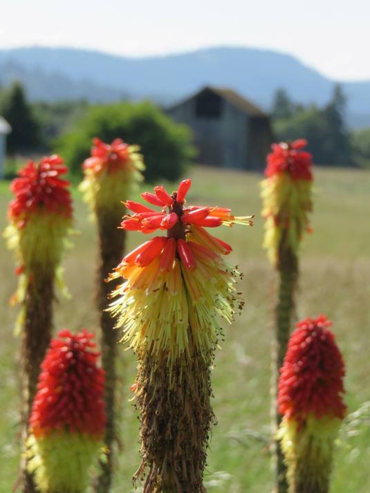 10590979_10152135496527132_1831008462_o